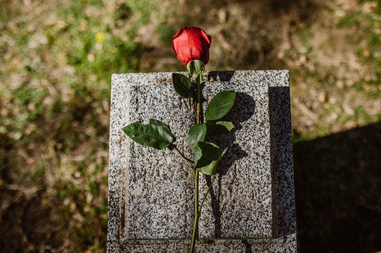Karen Acres Rose on a Stone